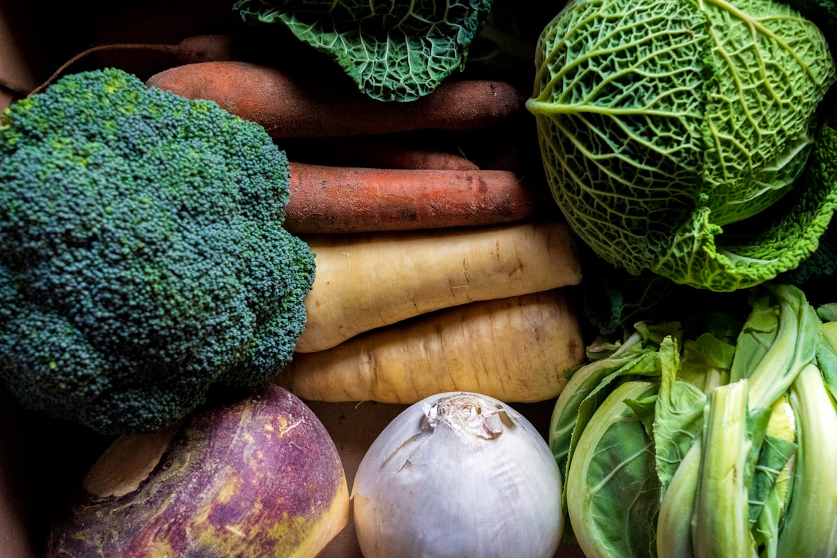Understanding Your Microbiome